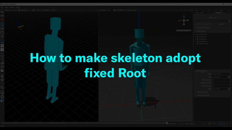 How to make skeleton adopt fixed root